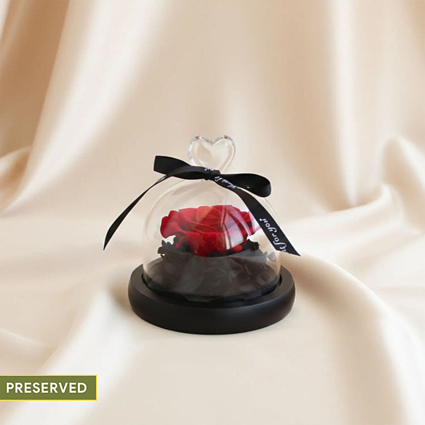 Forever Red Rose in Glass Dome: 