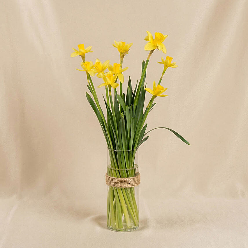 Daffodils Arrangement for Birthday: Daffodil Flowers
