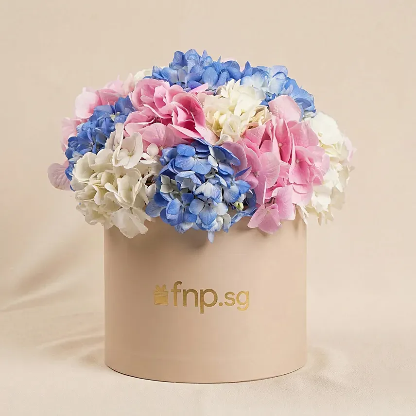 Hydrangeas Flower Box Arrangement: Flower Boxes Singapore