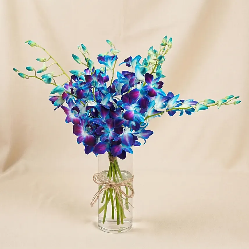 Mesmerizing Blue Orchids: Orchid Bouquets