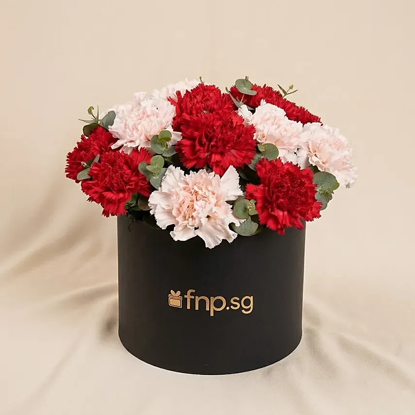 Carnations Flower Box: Pink Flowers