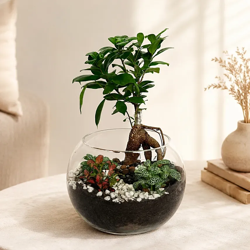 Bonsai Pot Paradise: 