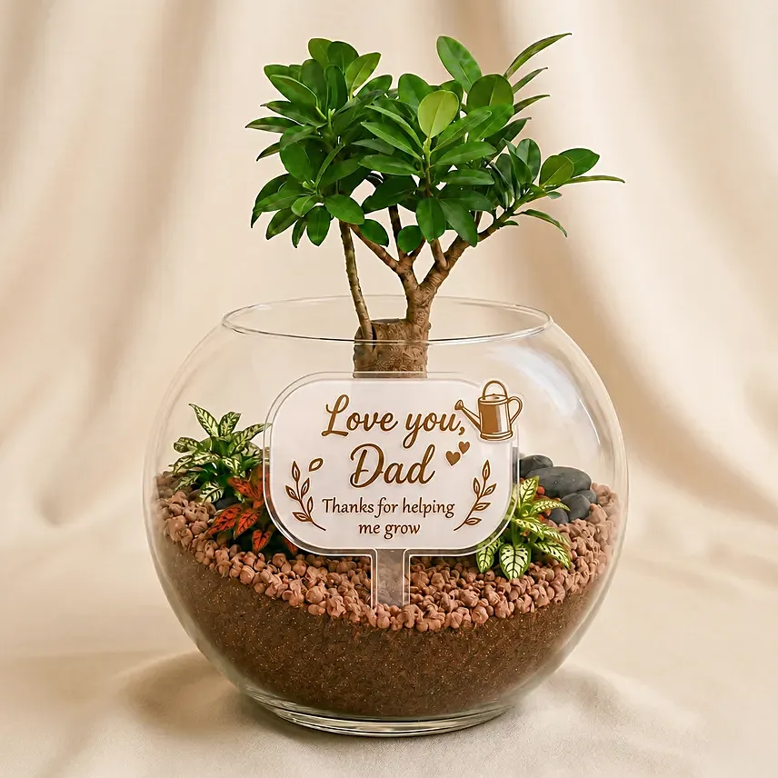 Fathers Day Bonsai Plant Gift: Bonsai 