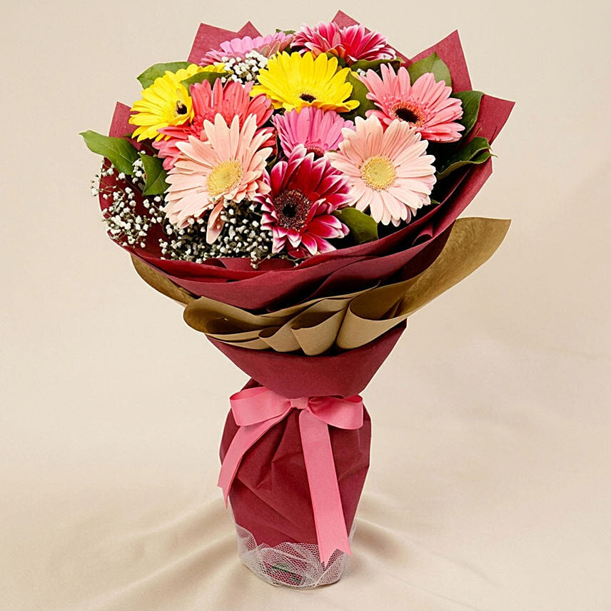10 Gerbera Flowers Bouquet: Gerbera Flower Bouquets