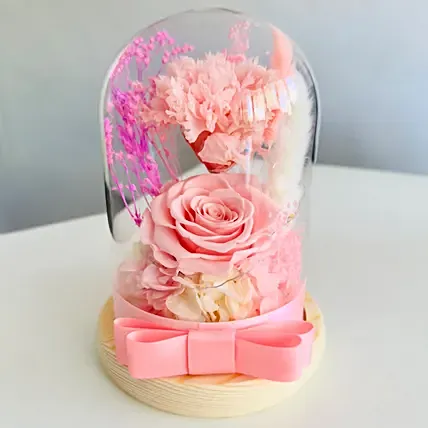 Pink Forever in Glass Dome: Promise Day Gifts