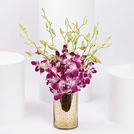 Pink Orchids in a Premium Golden Vase: Gift Discounts