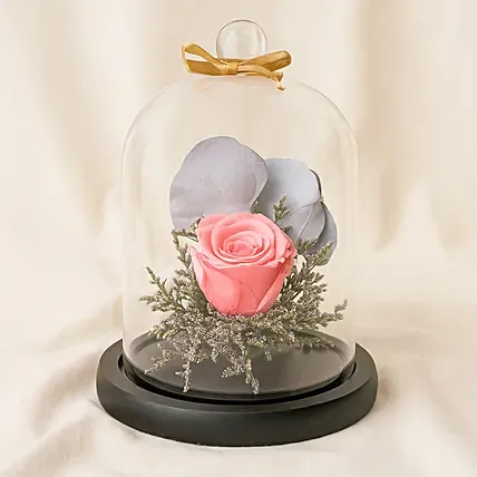 Forever Rose In Glass Dome- Pink: Forever Roses