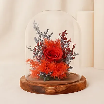 Forever Rose In Glass Dome: Congratulations Gifts