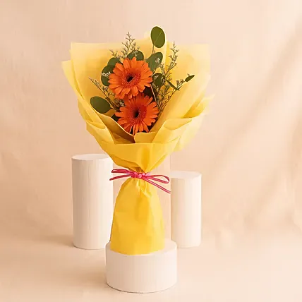 Cherry Red Gerbera Bouquet: 