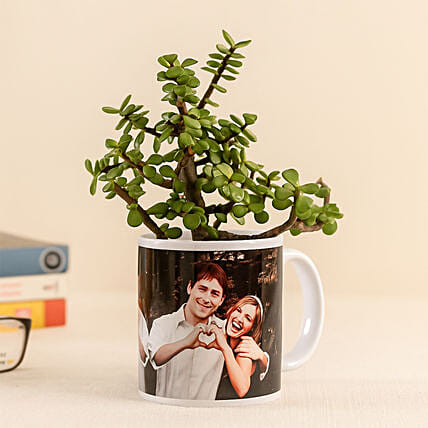 Jade Plant In White Personalised Mug: Jade Plants