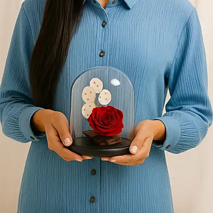 Red Forever Rose In Glass Dome: Dried Flowers