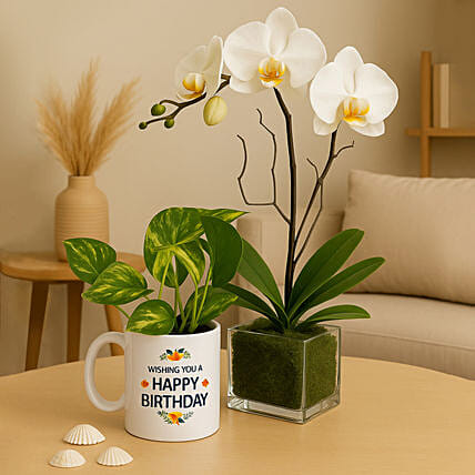 Orchid and Money Plant Bundle: Mugs 