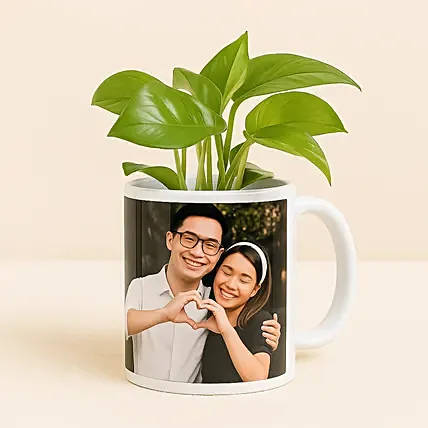 Picture Mug Money Plant Combo: Money Plants
