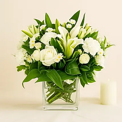 White Beauty: White Colour Flowers
