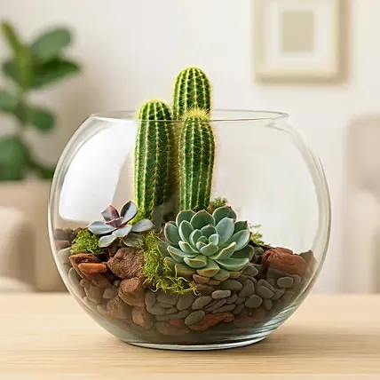 Lovely Echeveria & Cactus In Fish Bowl: For Anniversary