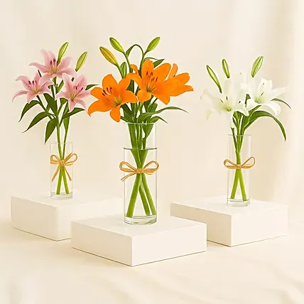Lilies Beauty Trio: Lily Flower Bouquets