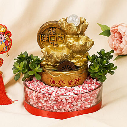 Decorative Dish Garden: Chinese New Year Plants