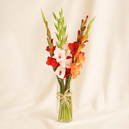Gladiolus Charm Arrangement: 