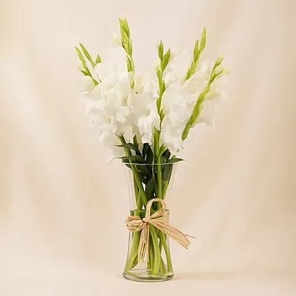 Blissful White Gladiolus Arrangement: Gladiolus Flowers