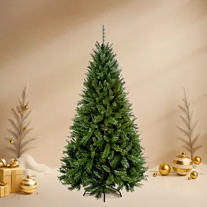 Real Pine Christmas Tree 60 Cms: Christmas Trees Singapore