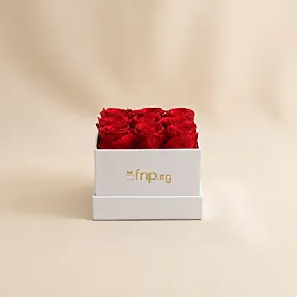 Preserved 9 Roses Box VDAY: Valentine's Flowers