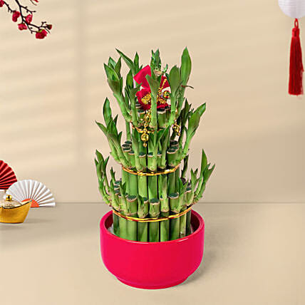 3 Layer Bamboo In Chinese New Year In Red Pot: CNY Gifts