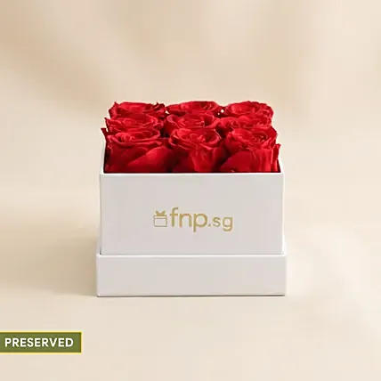 Preserved 9 Roses Box: Miss You Flowers