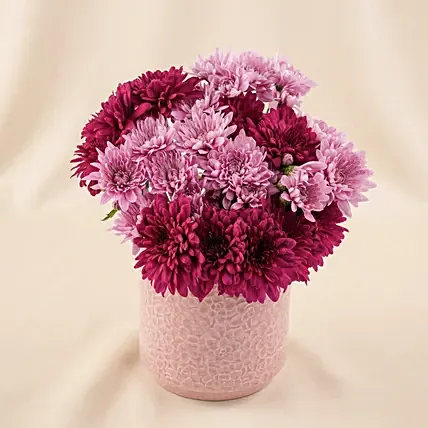 Radiant Purple Chrysanthemum Vase Arrangement for Her: International Women's Day Flowers