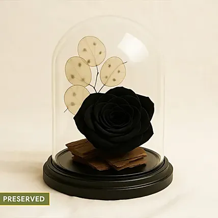 Black Forever Rose In Glass Dome: Forever Roses