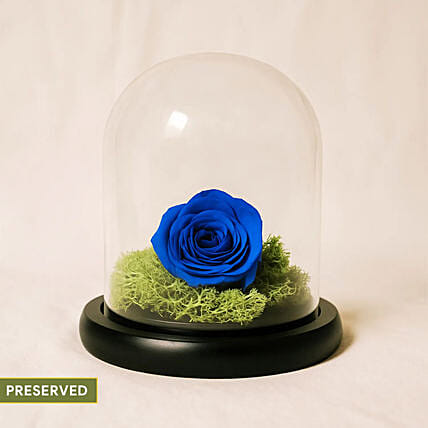Elegant Blue Rose: Blue Flowers