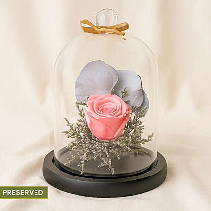 Forever Rose In Glass Dome- Pink: 520 Gifts & Flowers