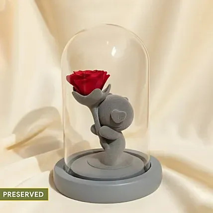 Red Rose and Teddy Glass Dome: 