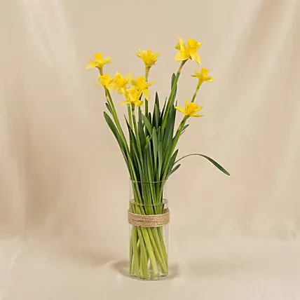 Daffodils Arrangement for Birthday: Daffodil Flowers