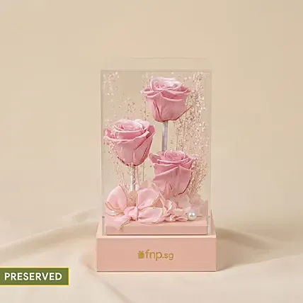Preserved Roses Premium Box: Dried Flowers