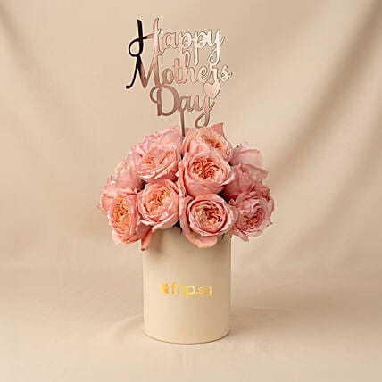 Mothers Day Baby Roses Hat Box: Mother's Day Gifts