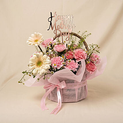 Mothers Day Carnations Basket: Gifts