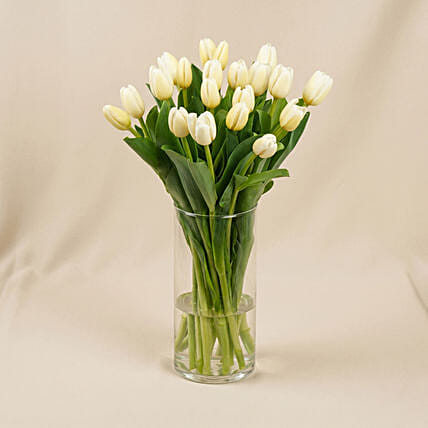 20 White Tulips: 