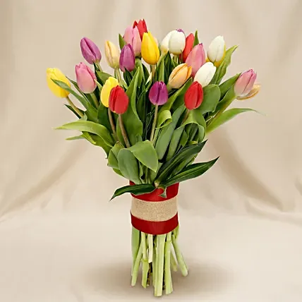 25 Vibrant Tulips Bunch: Gifts for Teacher