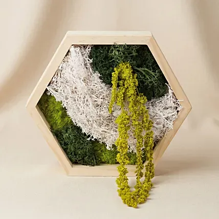 Hexagon Wooden Preserved Moss Wall Art Frame: Farewell Gift