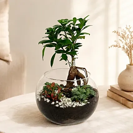 Bonsai Pot Paradise: 