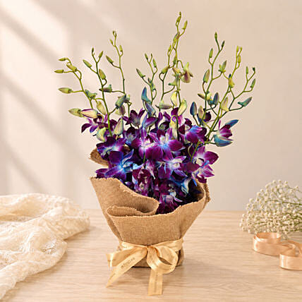 Gorgeous Orchids Arrangement: Orchid Bouquets