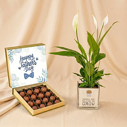 Father's Day Peace Lily & Chocolate Truffle Set: Plant Combos
