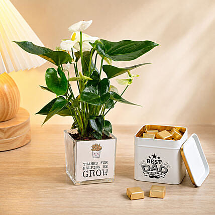 White Anthurium Plant & Chocolate Gift Set for Dad: Plant Combo Gifts