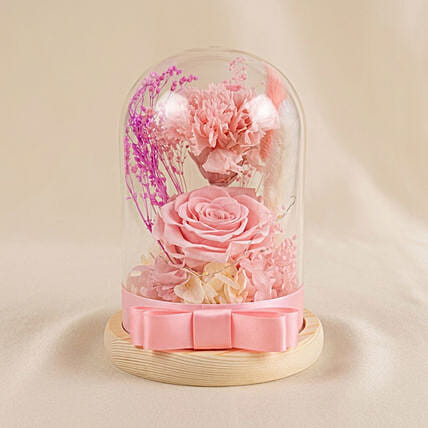 Pink Forever in Glass Dome: 