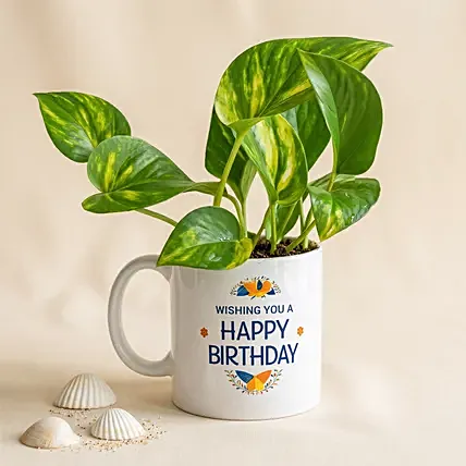 Money Plant In Happy Birthday Mug: Plants