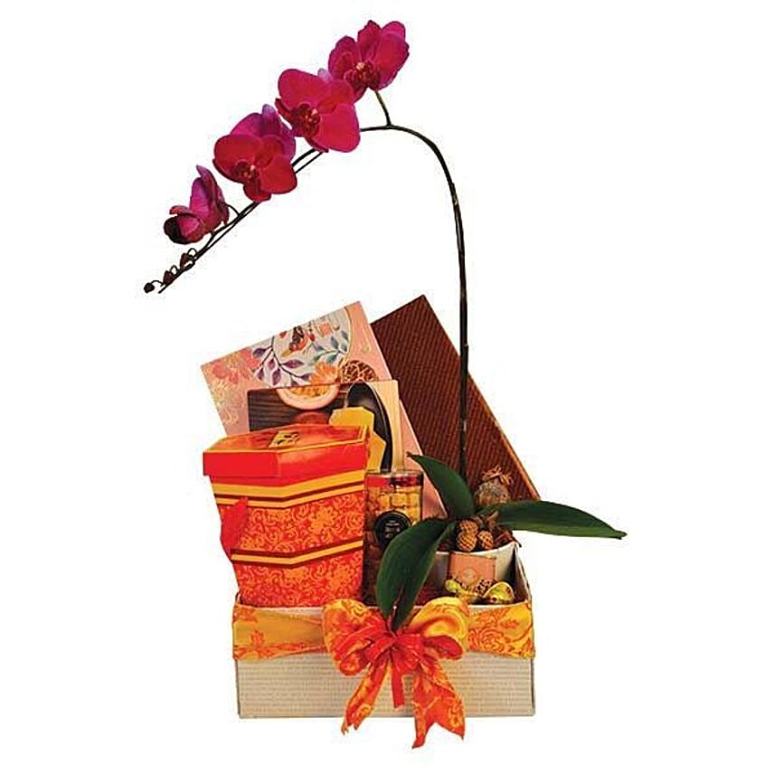 Phalaenopsis Orchid Oriental Hamper