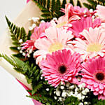 6 Pink Gerberas