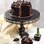 Crunchy Chocolate Hazelnut Cake