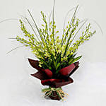 10 Green Mokara Orchids Bouquet