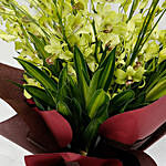 10 Green Mokara Orchids Bouquet